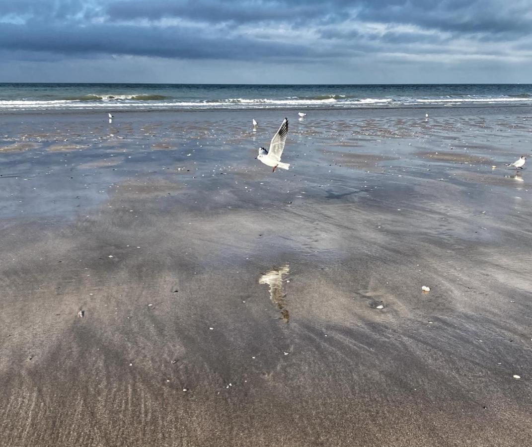 La Casa Eden Au Pied De La Mer Suite Hotel Premium Blonville-sur-Mer Kültér fotó